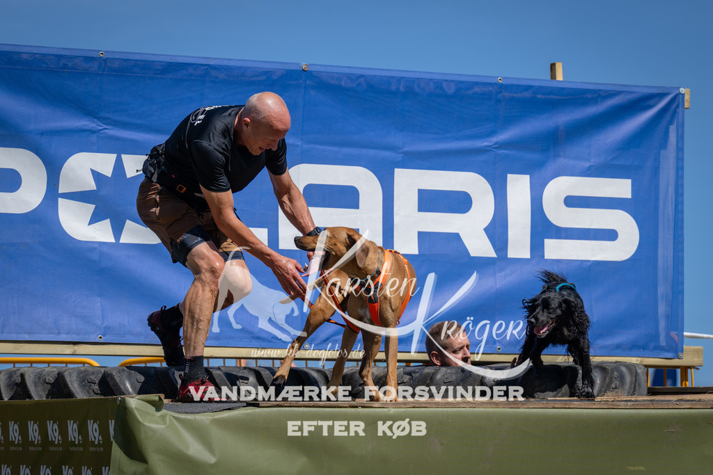 1242_ZZ96314 | kk-dogfotos