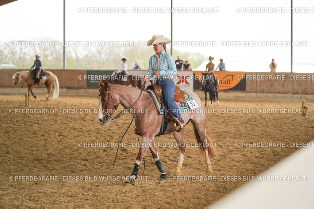 DSC05748 | Pferdegrafie