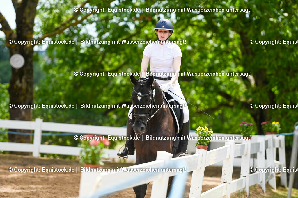 20230715_05_Dressurprüfung Kl.A++_0287 | equistock