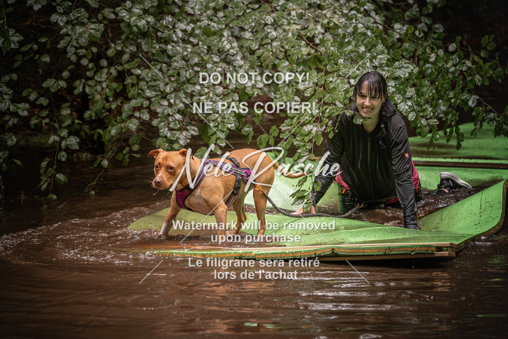 nelerasche_Wingst_Sa1330-1400_20 | nelerasche