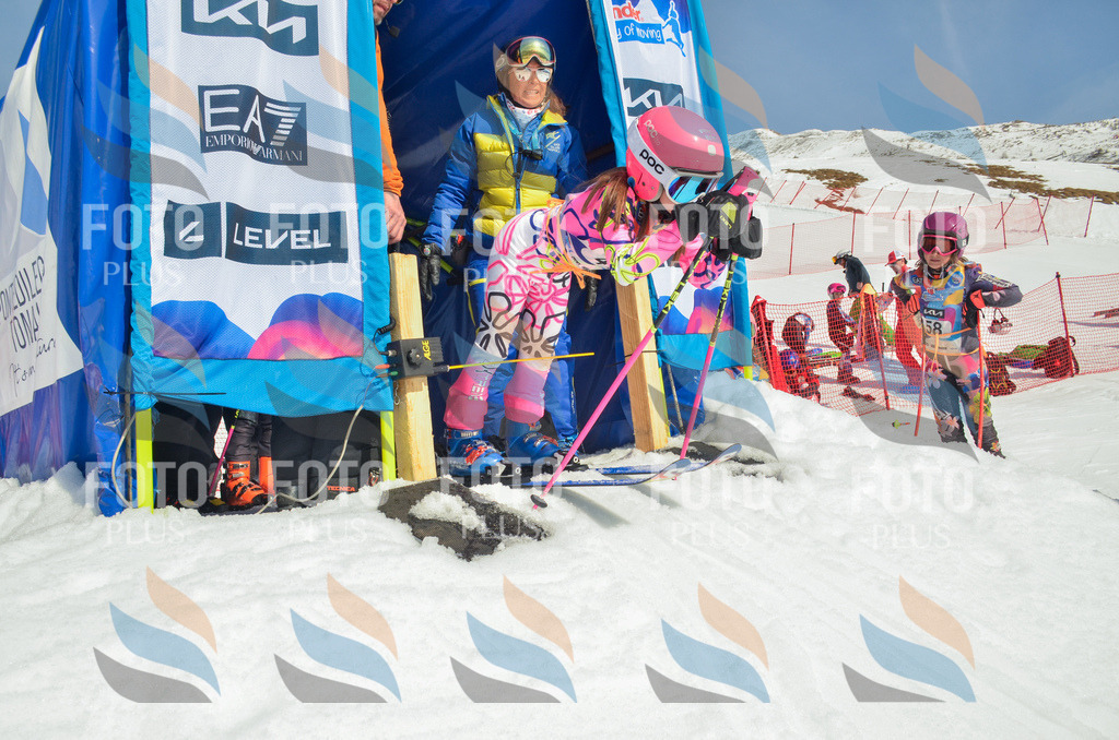 _ELE5040 | holidayphoto