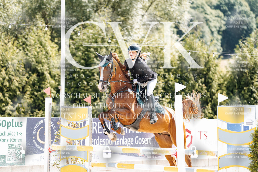 CK909380 | Turnierfotografie Pferdefotografie Trier Rheinland-Pfalz Pferdesport Reitsport Tierfotografie Sportfotografie Pferdevideo Pferdevideografie Equestrianvideography equestrianphotography  - Realisiert mit Pictrs.com