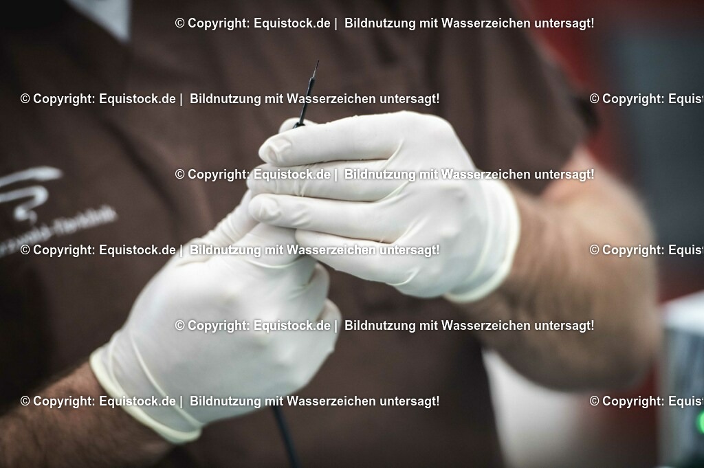 20201126_Sarkoid-Entfernung_0005 | equistock