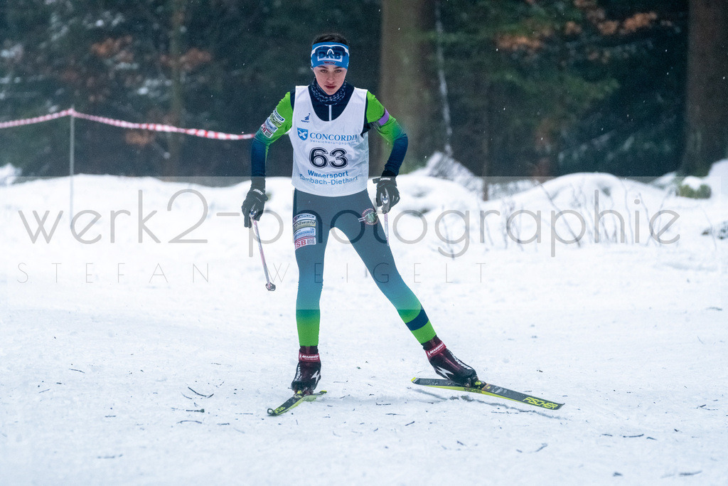 Thür. Landesmeisterschaften | Scheibe-Alsbach am 29. Januar 2022