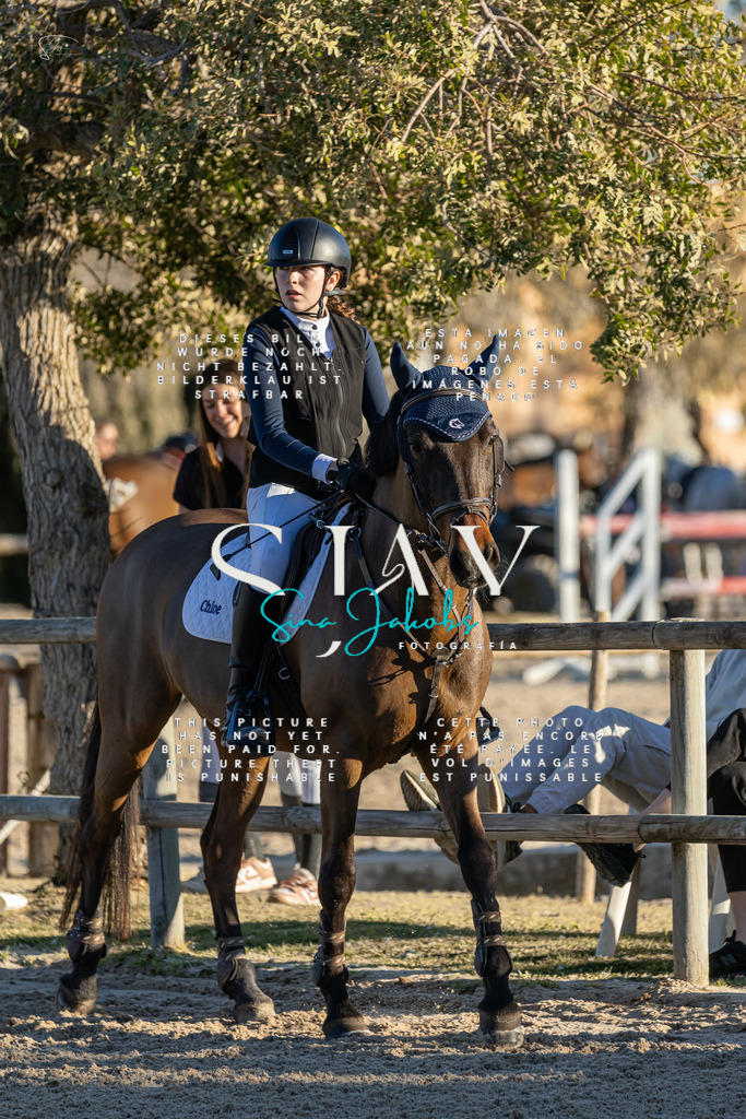 IMG_2388 | s-jay-photography - Realisiert mit Pictrs.com