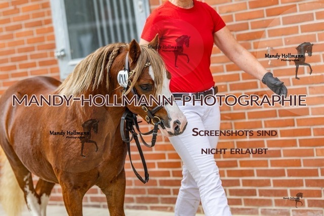 15-14 | mandyhollmannphotographie