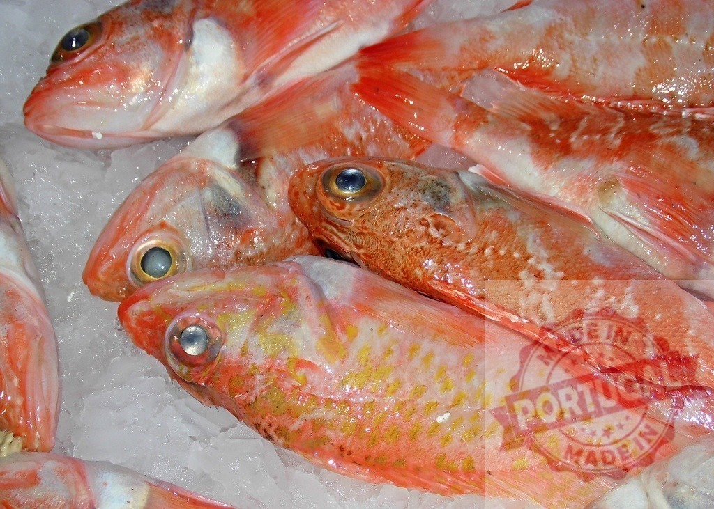 Fresh red fish for sale on ice at market | Fresh red fish displayed on ice, ready for customers - Realized with Pictrs.com