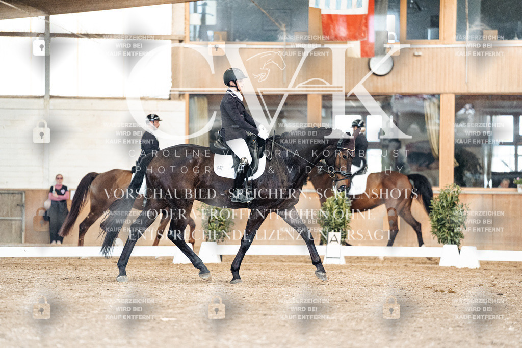 CK901534 | Turnierfotografie Pferdefotografie Trier Rheinland-Pfalz Pferdesport Reitsport Tierfotografie Sportfotografie Pferdevideo Pferdevideografie Equestrianvideography equestrianphotography  - Realisiert mit Pictrs.com