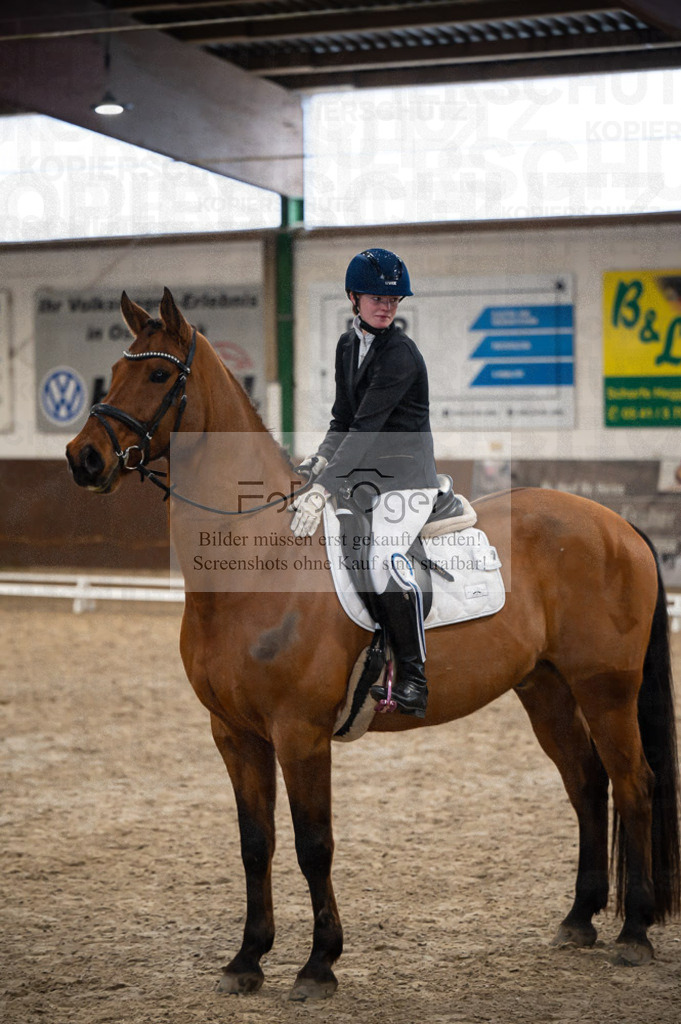Hallenreittunier Voxtrup 2023 | Entdecke hochwertige Reitturnierfotos von Foto Oger. Professionell, emotional und authentisch – jetzt Lieblingsmomente im Shop bestellen.Deutschlandweite Turnierfotografie. - Realisiert mit Pictrs.com