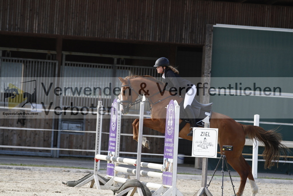 _MG_3168 | equestrian-live-com