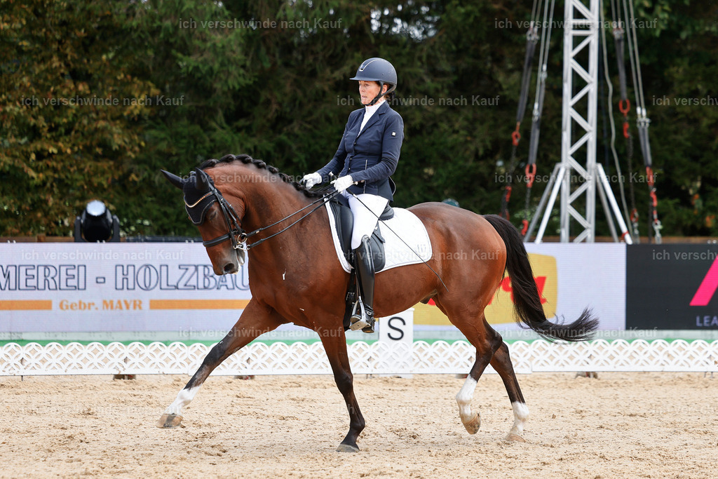 05-117-DRESSUR M_  -StoibPH-4936 | working equitationturnier fotograf videograf stoibphotography marixx film working equitation deutschland reitsport turnierfotografie eventfotografie equestrian events