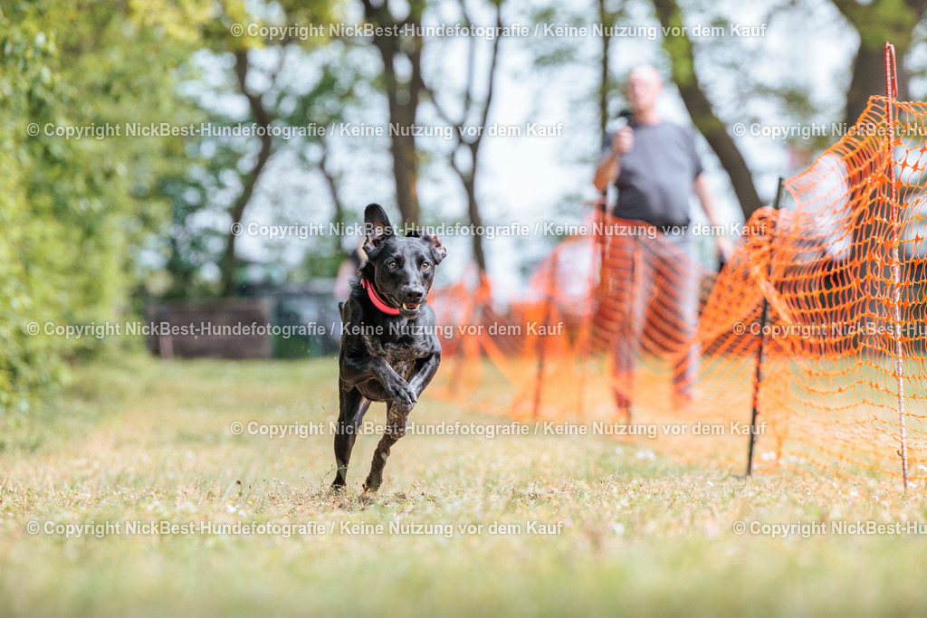 Sage Hunderennen Frühlingsfest-2026-Nickbest-Hundefotografie-0818 | Dein Hund! Dein Moment! Deine Erinnerungen! Hundefotografie in Bremen Blumenthal. Ich fange die besonderen Momente deines Vierbeiners ein – ob Indoor mit Blitzanlage oder in der freien Natur. Sicher dir dein Moment und dein Termin für eure Erinnerungen.