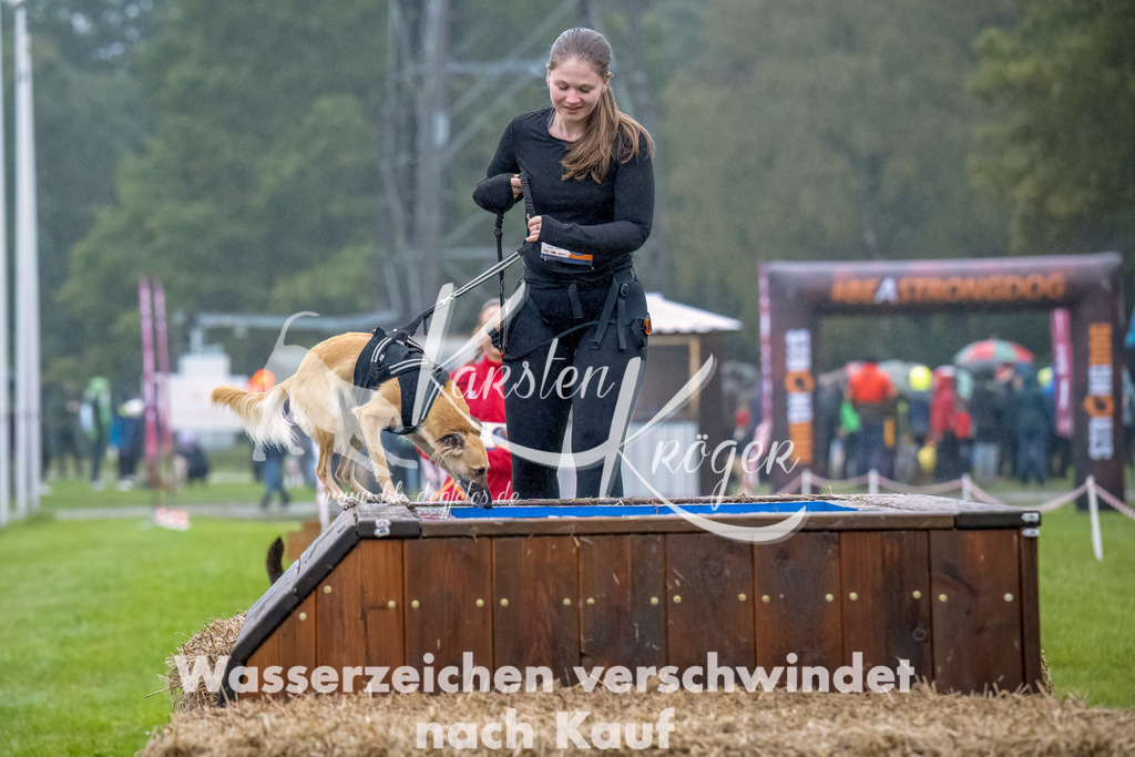 1010--5 | kk-dogfotos