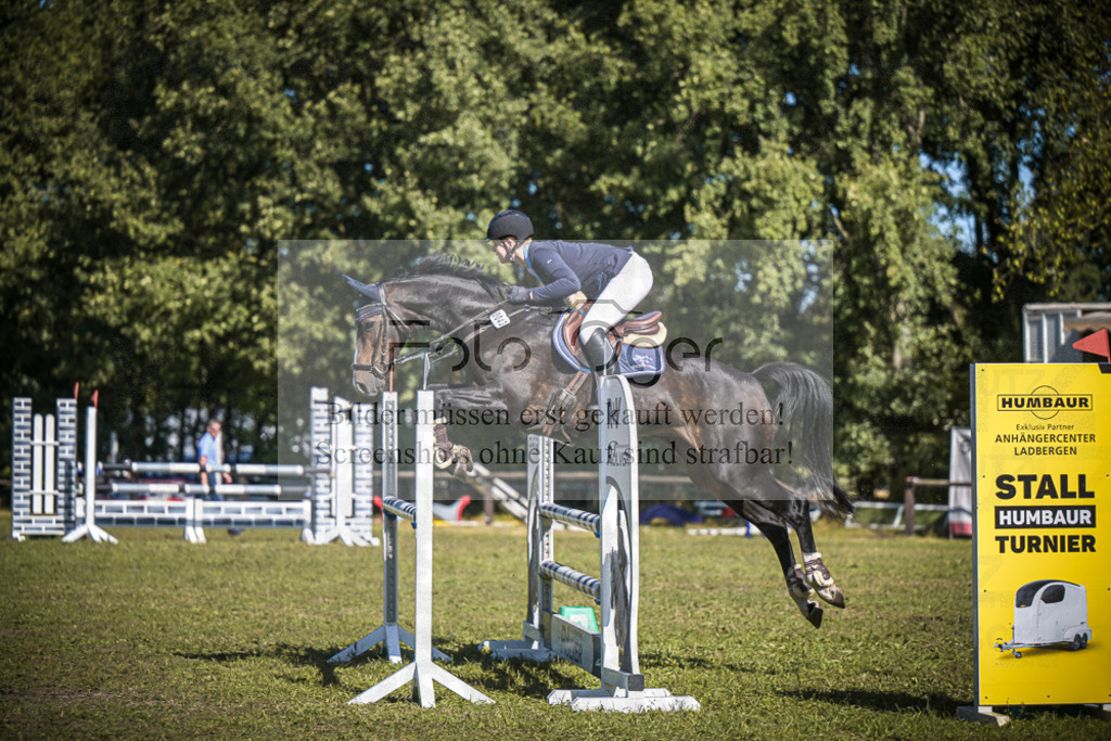 DOS_0594 | Entdecke hochwertige Reitturnierfotos von Foto Oger. Professionell, emotional und authentisch – jetzt Lieblingsmomente im Shop bestellen.Deutschlandweite Turnierfotografie. - Realisiert mit Pictrs.com