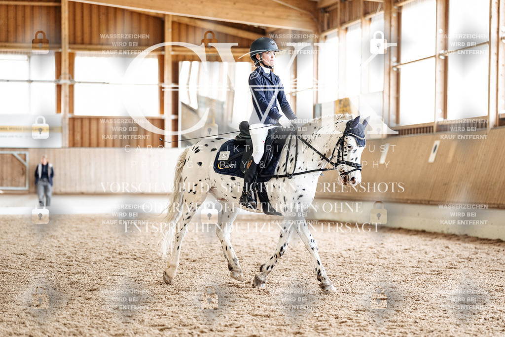 CK901380 | Turnierfotografie Pferdefotografie Trier Rheinland-Pfalz Pferdesport Reitsport Tierfotografie Sportfotografie Pferdevideo Pferdevideografie Equestrianvideography equestrianphotography  - Realized with Pictrs.com
