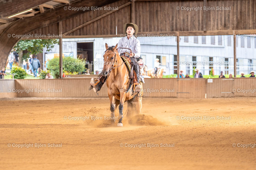 LMS03811 | BS-foto