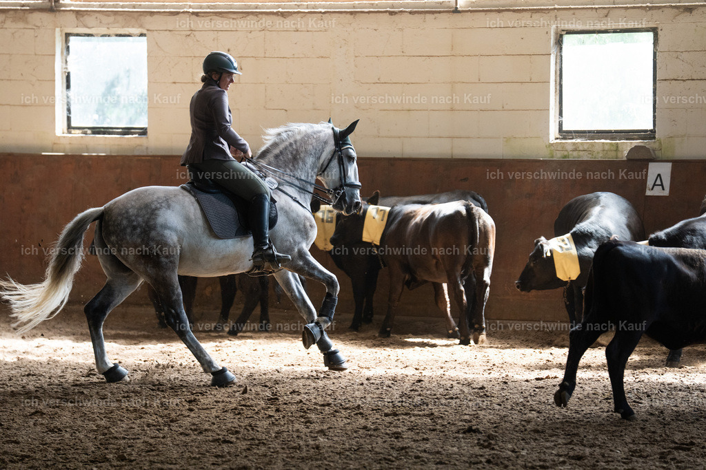 WL_COW_69_SinaFilmArt_IN03933 | working equitationturnier fotograf videograf stoibphotography marixx film working equitation deutschland reitsport turnierfotografie eventfotografie equestrian events
