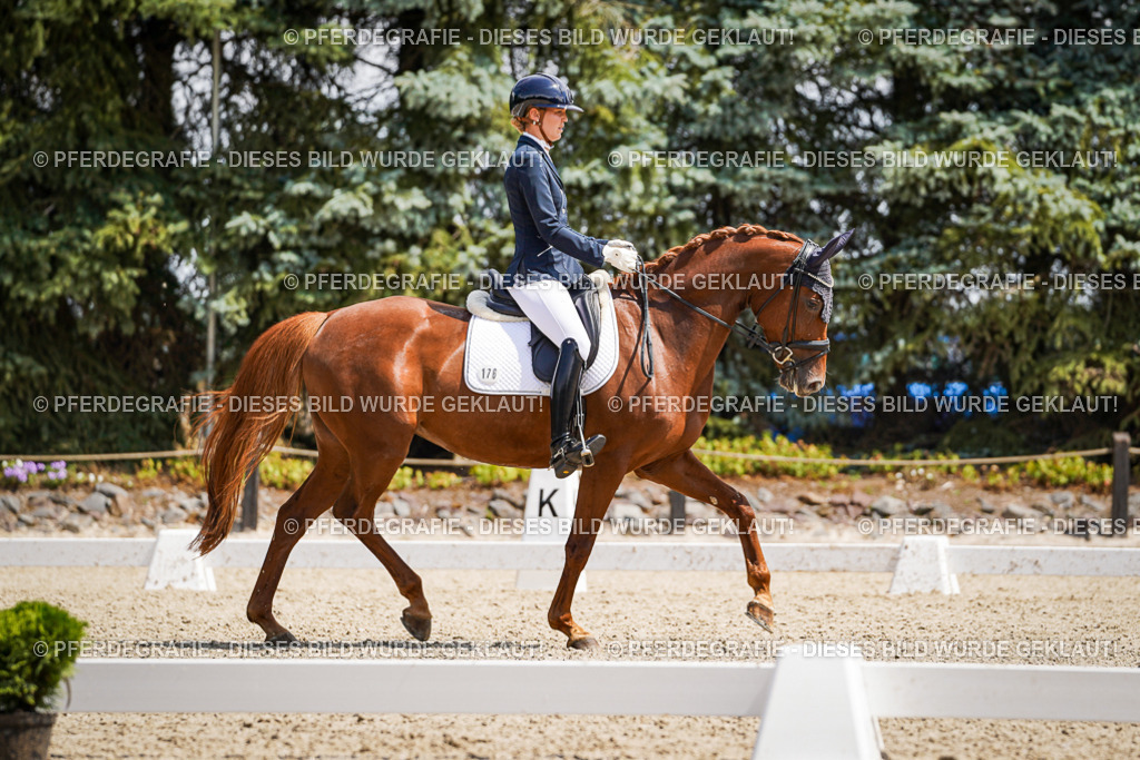 DSC01081 | Pferdegrafie