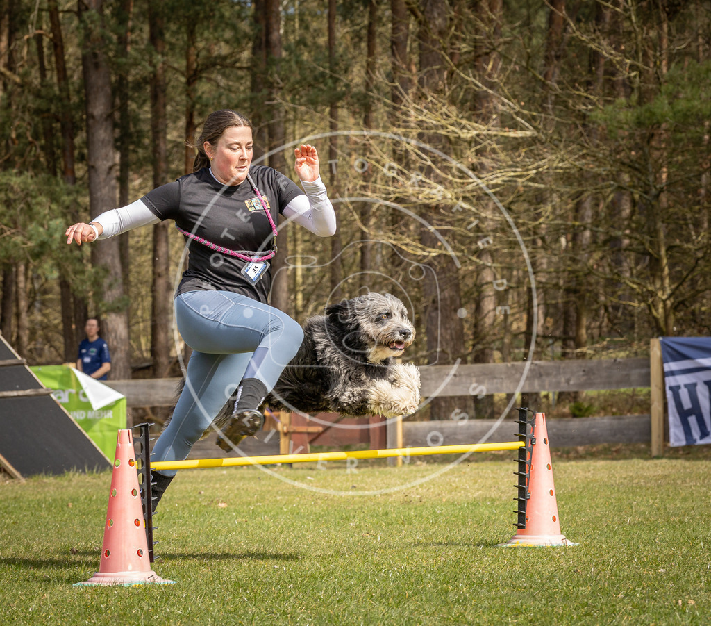 Pfotenfotografie_DV3A6359 | Hundefotografie, Tierfotograf, Pfotenfotografie, Fotoshooting Hund, Hunde Portrait, Hundesport, Hundeportraits, Heideshooting, Hunde, Sportfotograf, Hundefotograf, Turnierhundsport, THS,  - Realisiert mit Pictrs.com