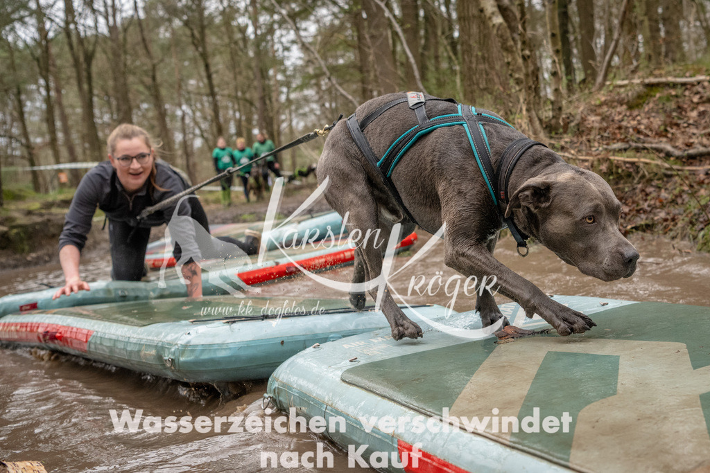 1139_ZZ94053 | kk-dogfotos