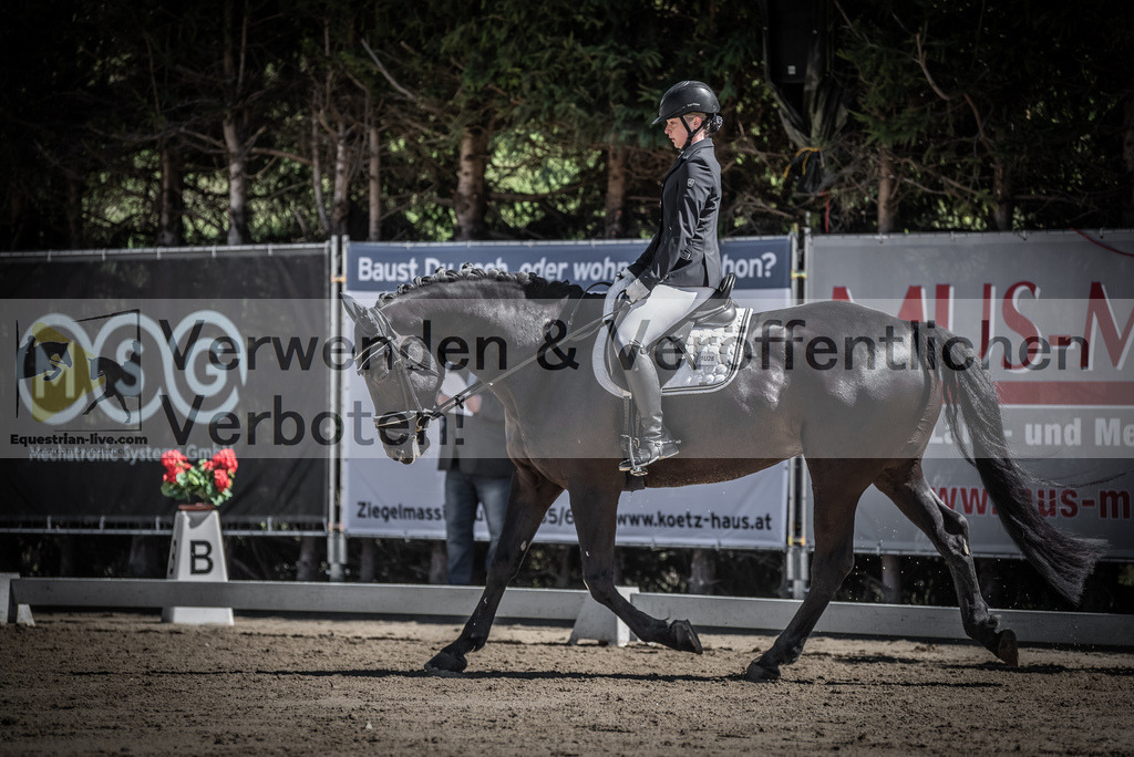 DSC_0239 | equestrian-live-com