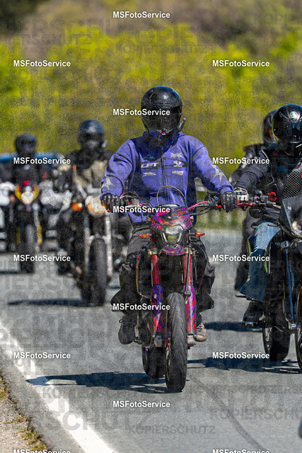 MSFotoServiceXXX146 | MSFotoService - Realisiert mit Pictrs.com