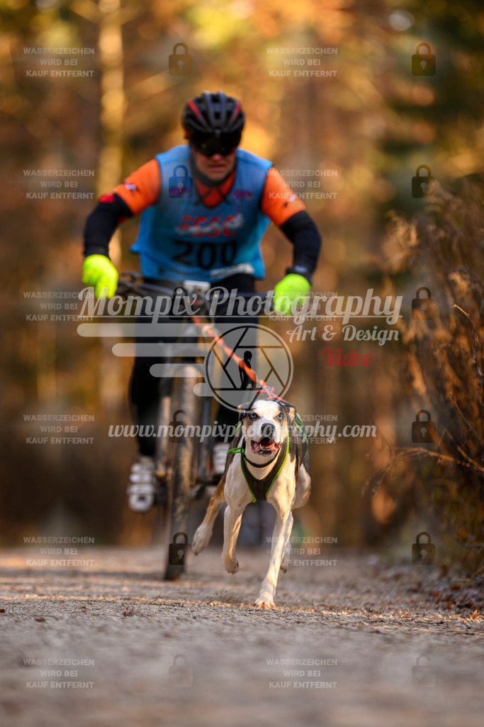 MompixPhotography_DM_AKDM_SO_2025_Bike-172 | PayLife