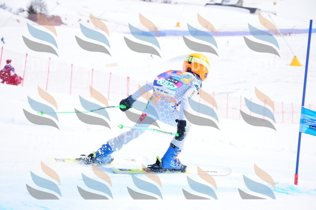 DSC_3108 | holidayphoto