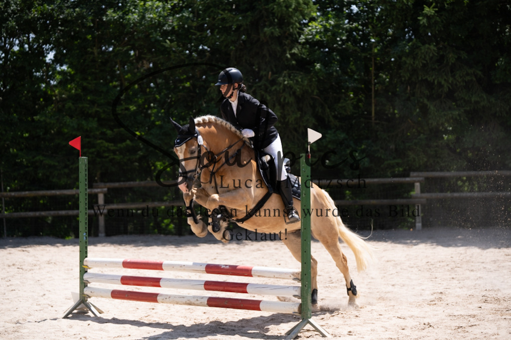 A7V08328 | Pferdefotograf