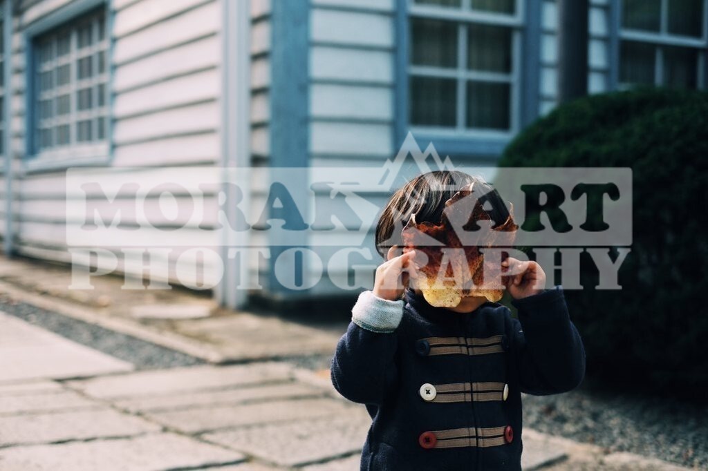 2-14-1025-683 | morakartphoto