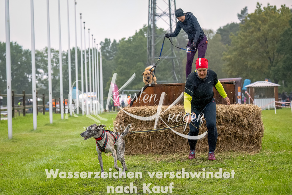 1007--4 | kk-dogfotos