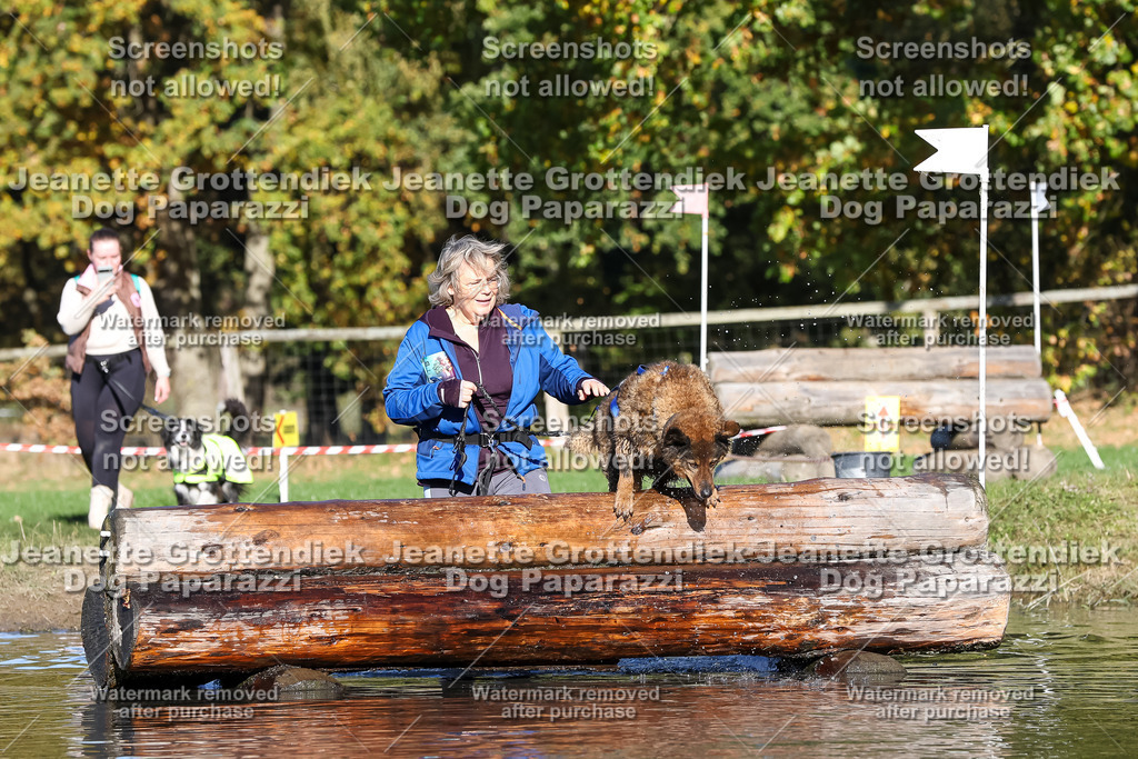 Dog Paparazzi - Strongdog 10-25-8902 | Dog Paparazzi Jeanette Grottendiek Fotografie & Videografie - Realisiert mit Pictrs.com