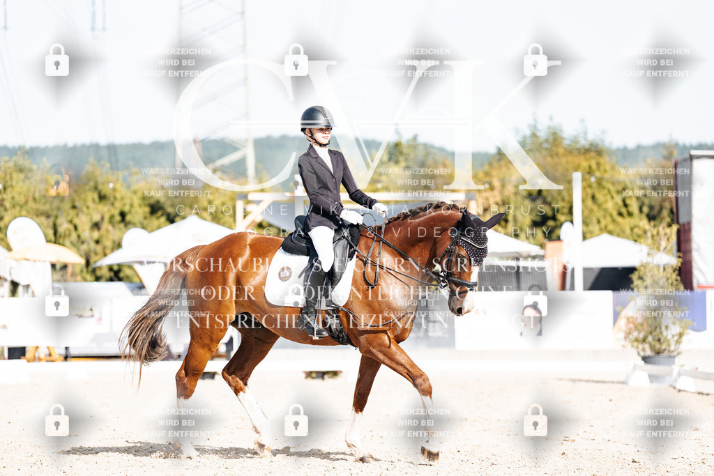 CK905592 | Turnierfotografie Pferdefotografie Trier Rheinland-Pfalz Pferdesport Reitsport Tierfotografie Sportfotografie Pferdevideo Pferdevideografie Equestrianvideography equestrianphotography  - Realisiert mit Pictrs.com