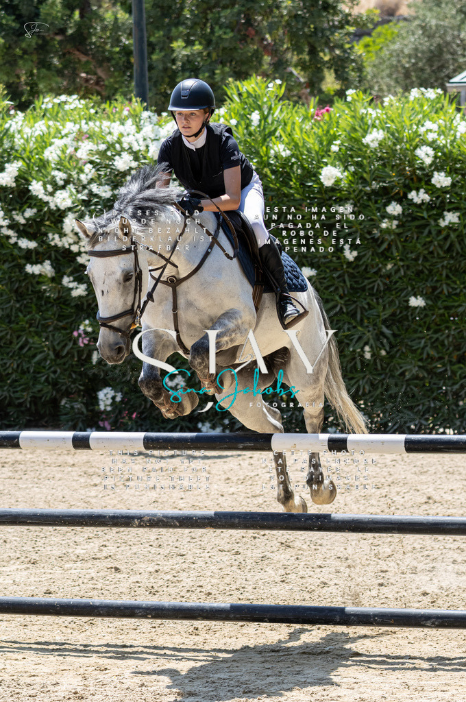 IMG_7881 | s-jay-photography - Realisiert mit Pictrs.com