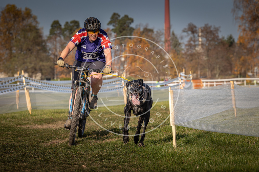 CaniXpix_0L8A7081 | Hundefotografie, Tierfotograf, Pfotenfotografie, Fotoshooting Hund, Hunde Portrait, Hundesport, Hundeportraits, Heideshooting, Hunde, Sportfotograf, Hundefotograf, Turnierhundsport, THS,  - Realisiert mit Pictrs.com