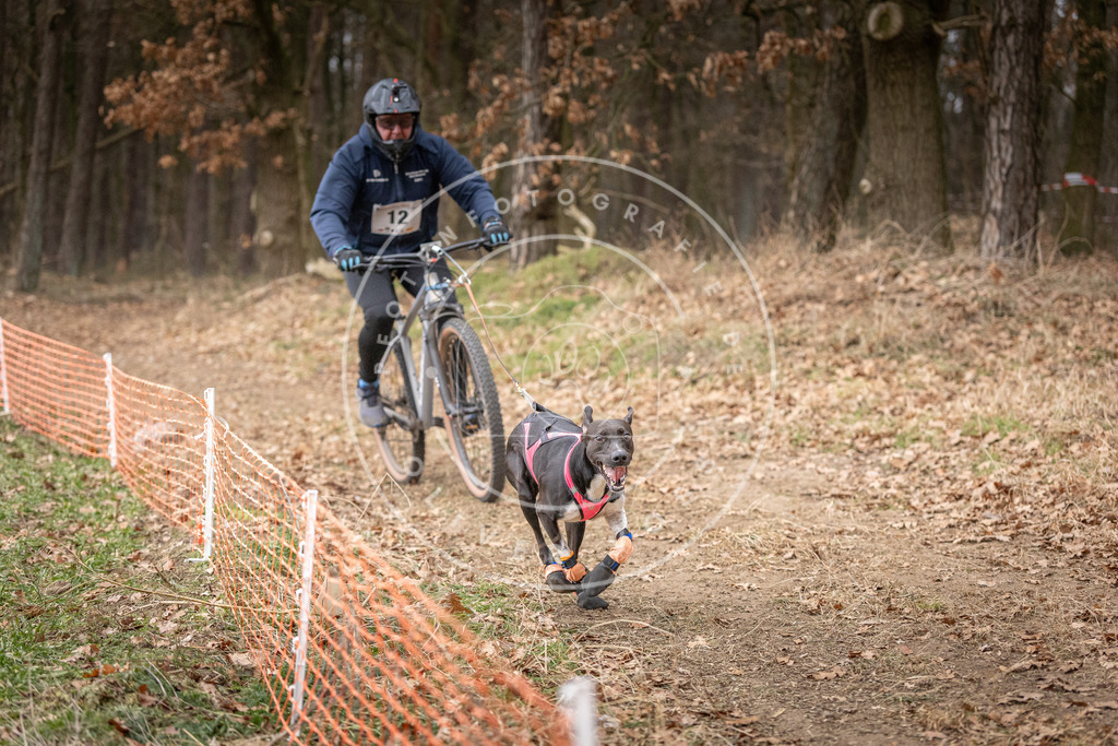 Pfotenfotografie_DV3A1578 | Hundefotografie, Tierfotograf, Pfotenfotografie, Fotoshooting Hund, Hunde Portrait, Hundesport, Hundeportraits, Heideshooting, Hunde, Sportfotograf, Hundefotograf, Turnierhundsport, THS,  - Realisiert mit Pictrs.com