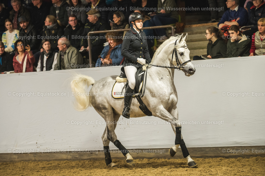 20240302_Hengstvorstellung_Marbach_TOMsPiC_1041-2 | equistock
