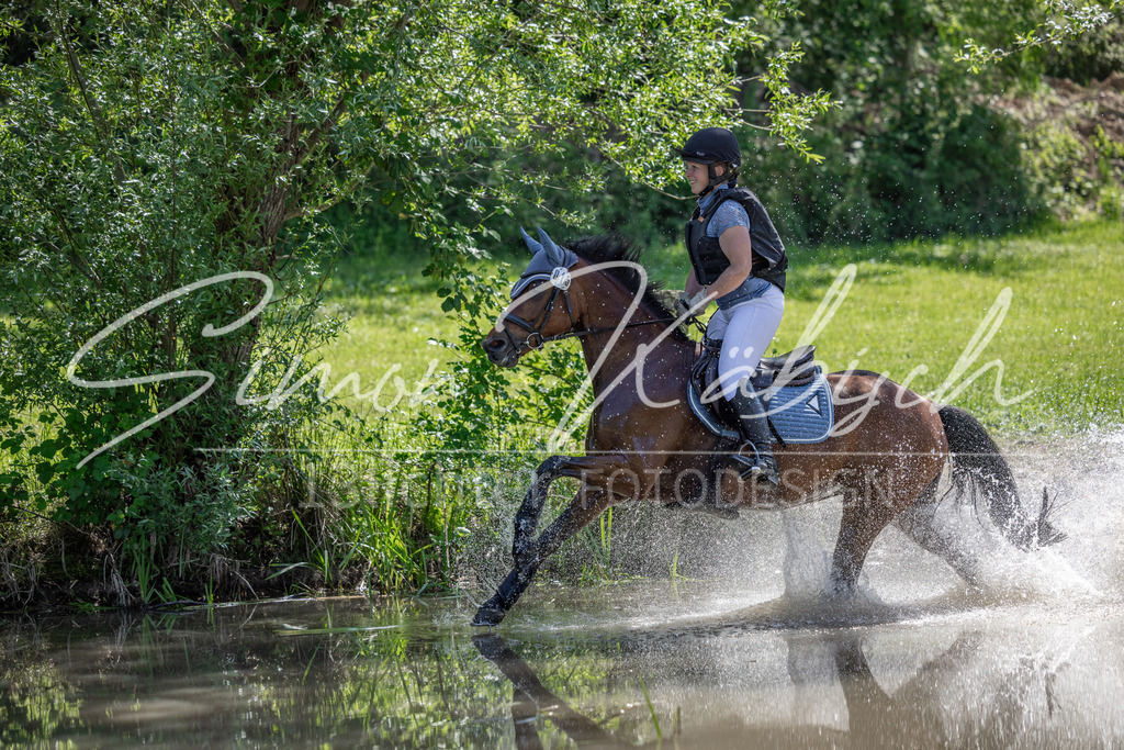 20260523-_3LI7787 | Tierfotografie Pferde, Hunde, Katzen, Haustiere.
Turnierfotografie Reitturniere, Reiten, Springreiten, Dressur in Hanau, dem Main-Kinzig-Kreis und dem Rhein-Main- Gebiet um Frankfurt