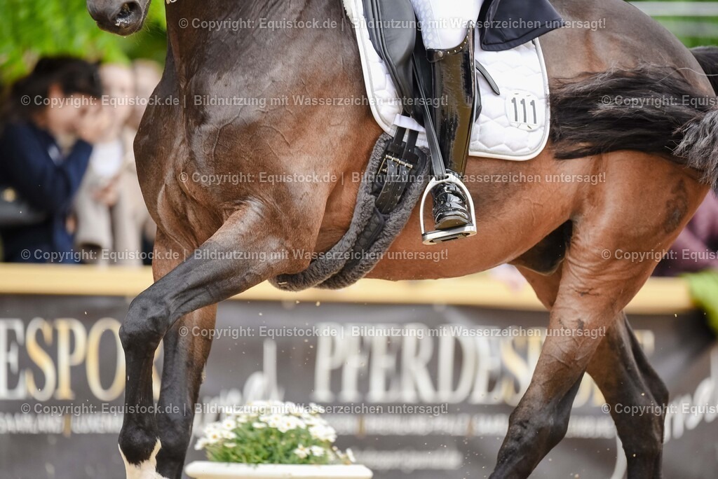 20250607_1_GP-Tour_Dressage_0333 | Foto: Thomas Hartig