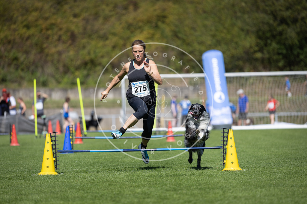 Pfotenfotografie_DV3A6954 | Hundefotografie, Tierfotograf, Pfotenfotografie, Fotoshooting Hund, Hunde Portrait, Hundesport, Hundeportraits, Heideshooting, Hunde, Sportfotograf, Hundefotograf, Turnierhundsport, THS,  - Realisiert mit Pictrs.com
