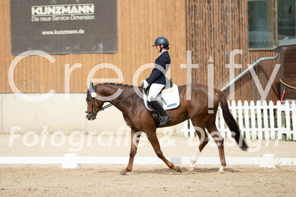 IMG_1623 | Creatify Fotografie