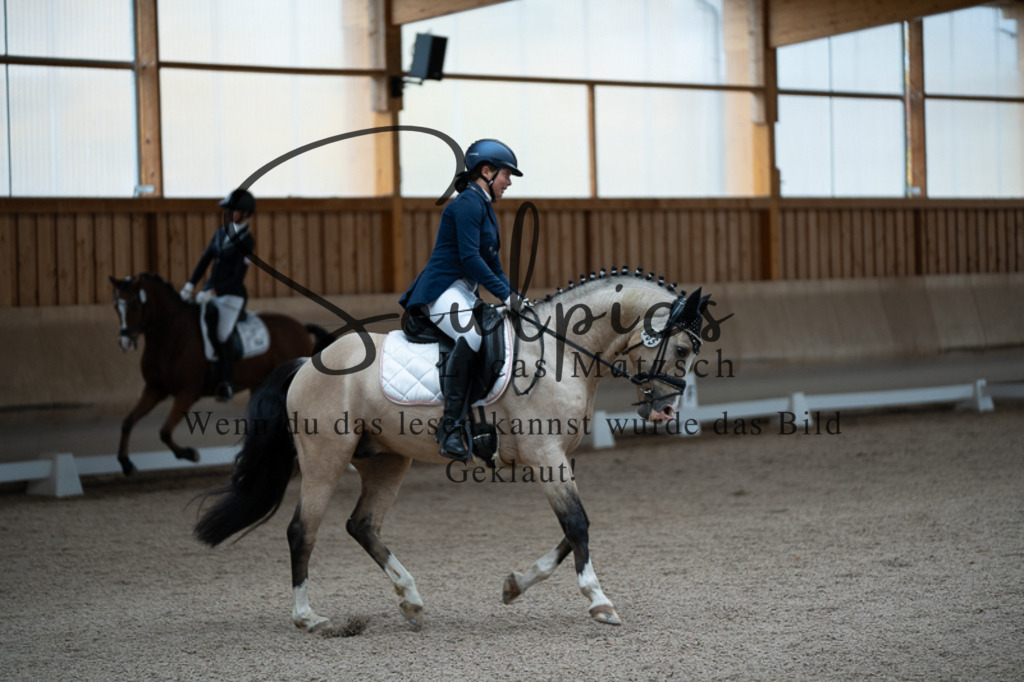 A7V02501 | Pferdefotograf