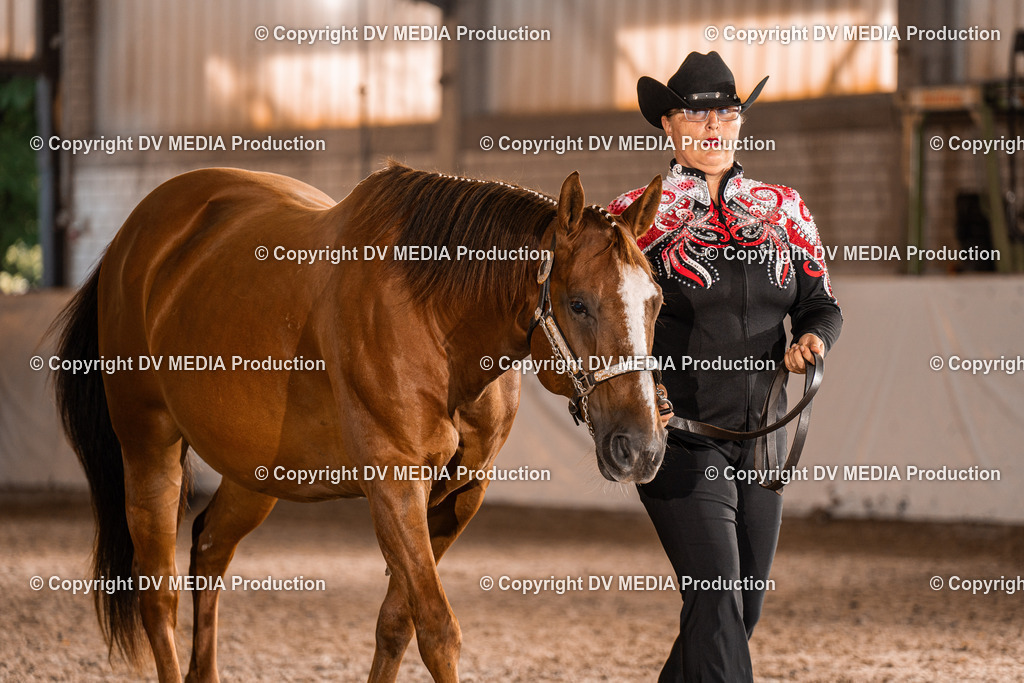 ZH100107 | dv-media-shop - Realisiert mit Pictrs.com