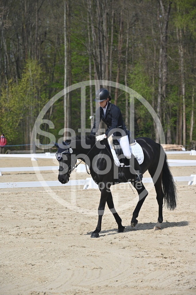 DSC_1104 | sattelsport - Realisiert mit Pictrs.com