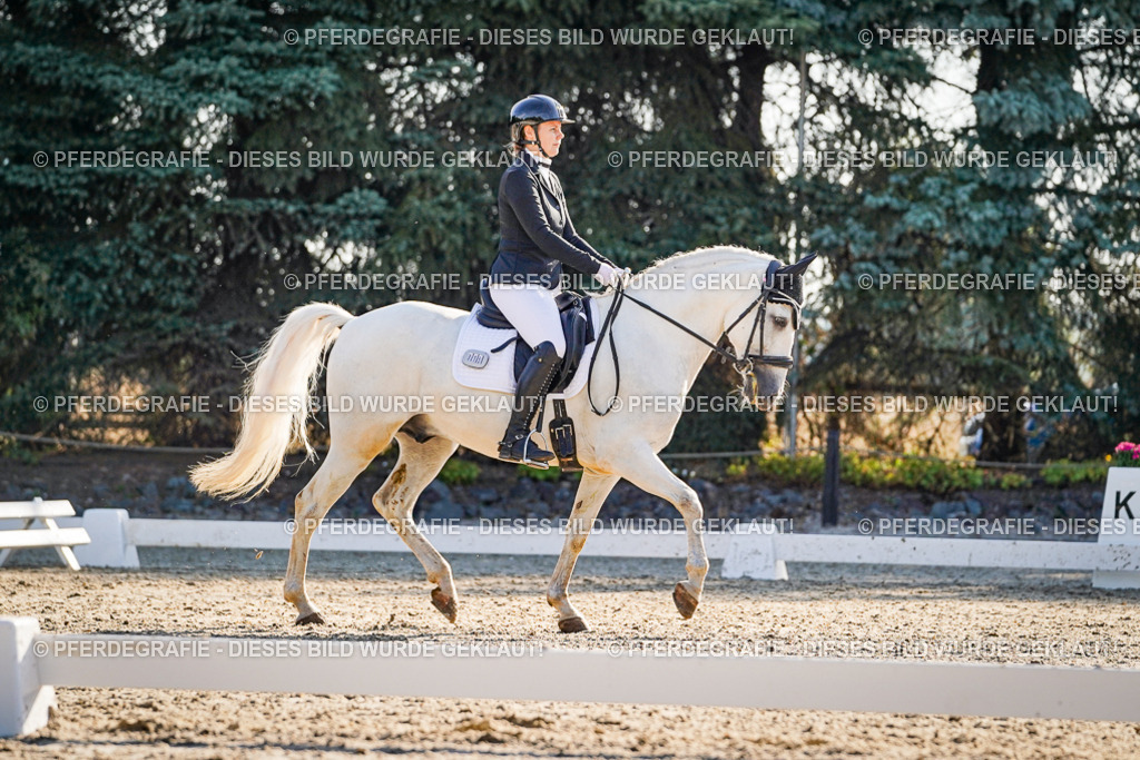 DSC08639 | Pferdegrafie