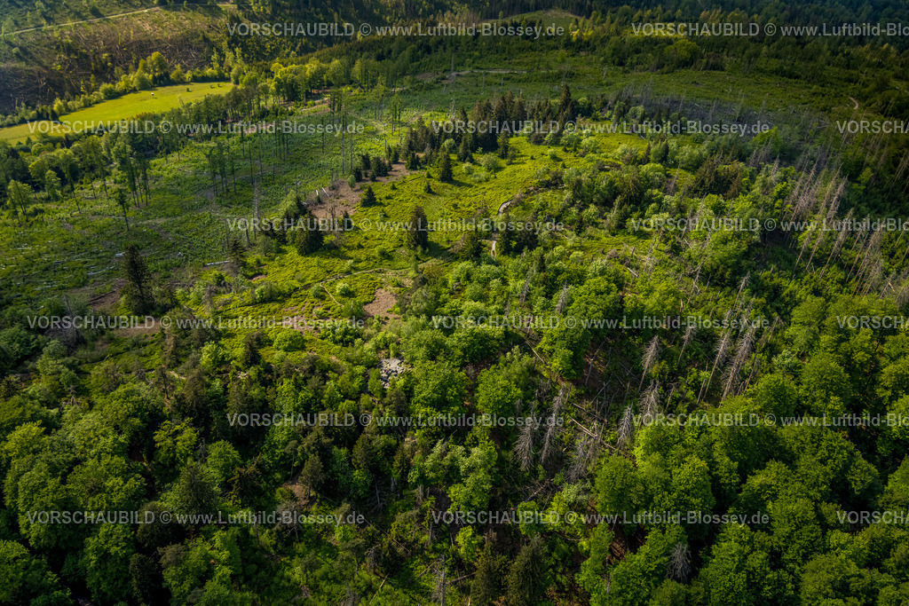 Horn-BadMeinberg240506063LippischerVelmerstot | Luftbild, Lippische Velmerstot Kuppe, Besucher und Wanderer auf einer Felsformation entdecken das Flugzeug des Fotografen, Waldgebiet und Waldschäden, Teutoburger Wald, Leopoldstal, Horn-Bad Meinberg, Ostwestfalen, Nordrhein-Westfalen, Deutschland