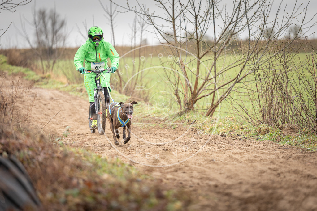 DV3A9410 | Hundefotografie, Tierfotograf, Pfotenfotografie, Fotoshooting Hund, Hunde Portrait, Hundesport, Hundeportraits, Heideshooting, Hunde, Sportfotograf, Hundefotograf, Turnierhundsport, THS,  - Realisiert mit Pictrs.com