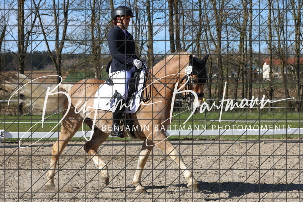 AZ2A5069 | Benjamin Bartmann Photomoments