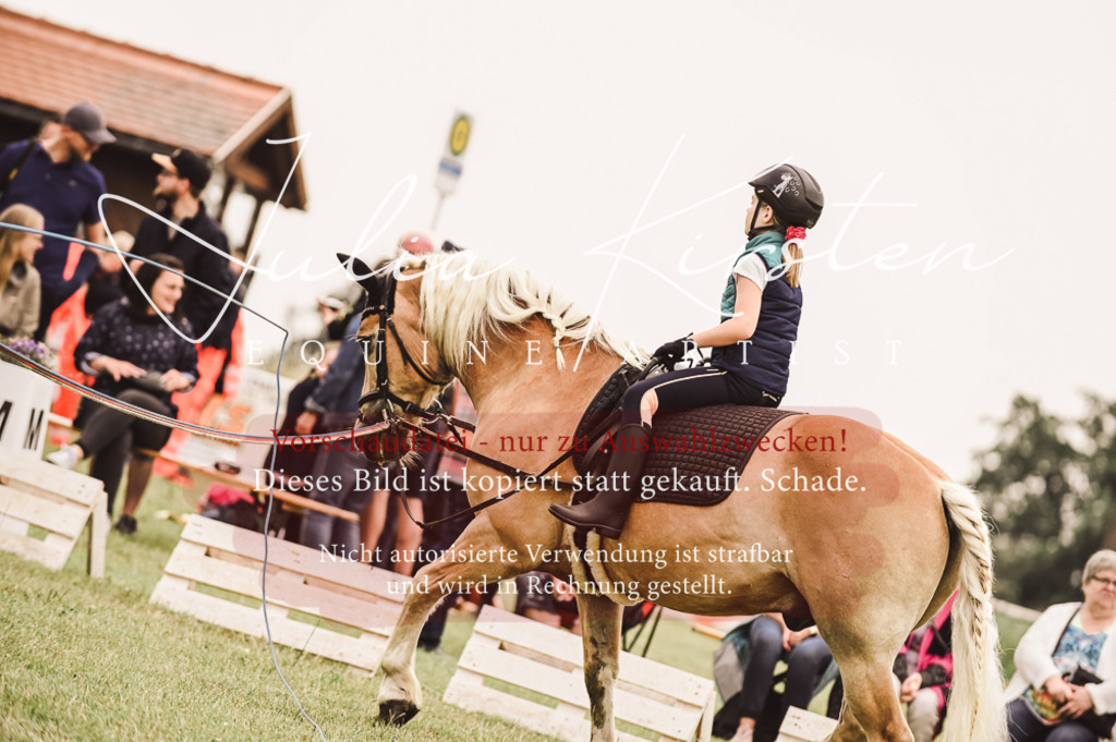 DSC_5324 | Pferde- und Turnierfotografie in Westsachsen. Pferdeportraits, Auftragszeichnungen und intuitive Kunst.