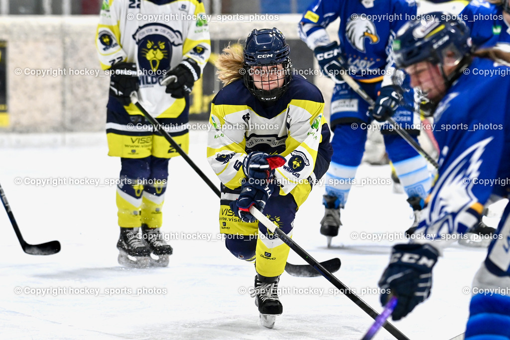 Wildcats Paternion vs. Lady Hawks  | #6 Jelovcan Selina WILDCATS PATERNION, Wildcats Paternion vs. Lady Hawks , Wildcats Paternion vs. Lady Hawks  am 27.01.2025 in Spittal an der Drau (Eissportzentrum Spittal), Austria, (Photo by Bernd Stefan)